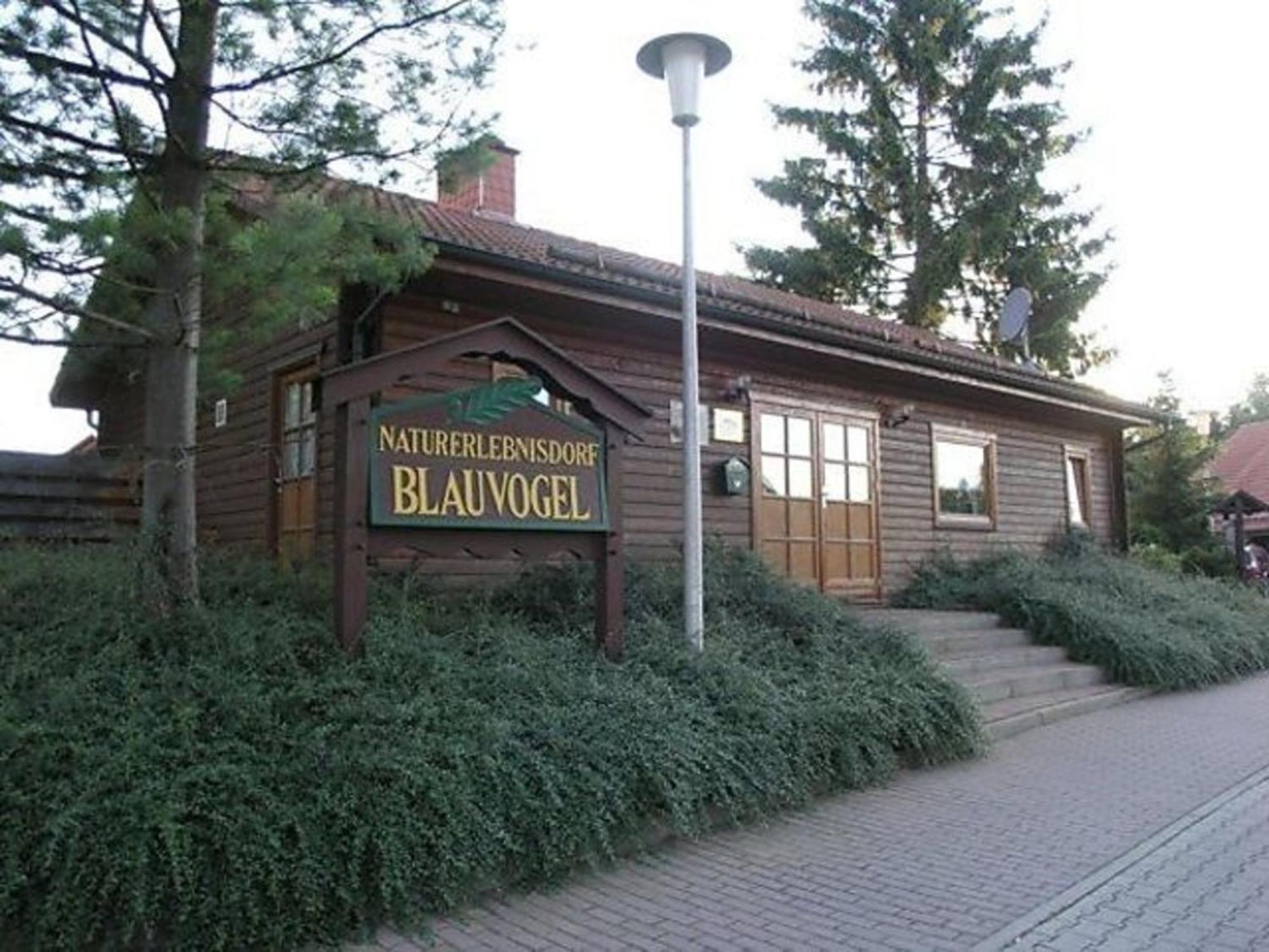 Ferienhaus Nr 32, Typ A, Ferienanlage Blauvogel, Hasselfelde, Harz Eksteriør bilde