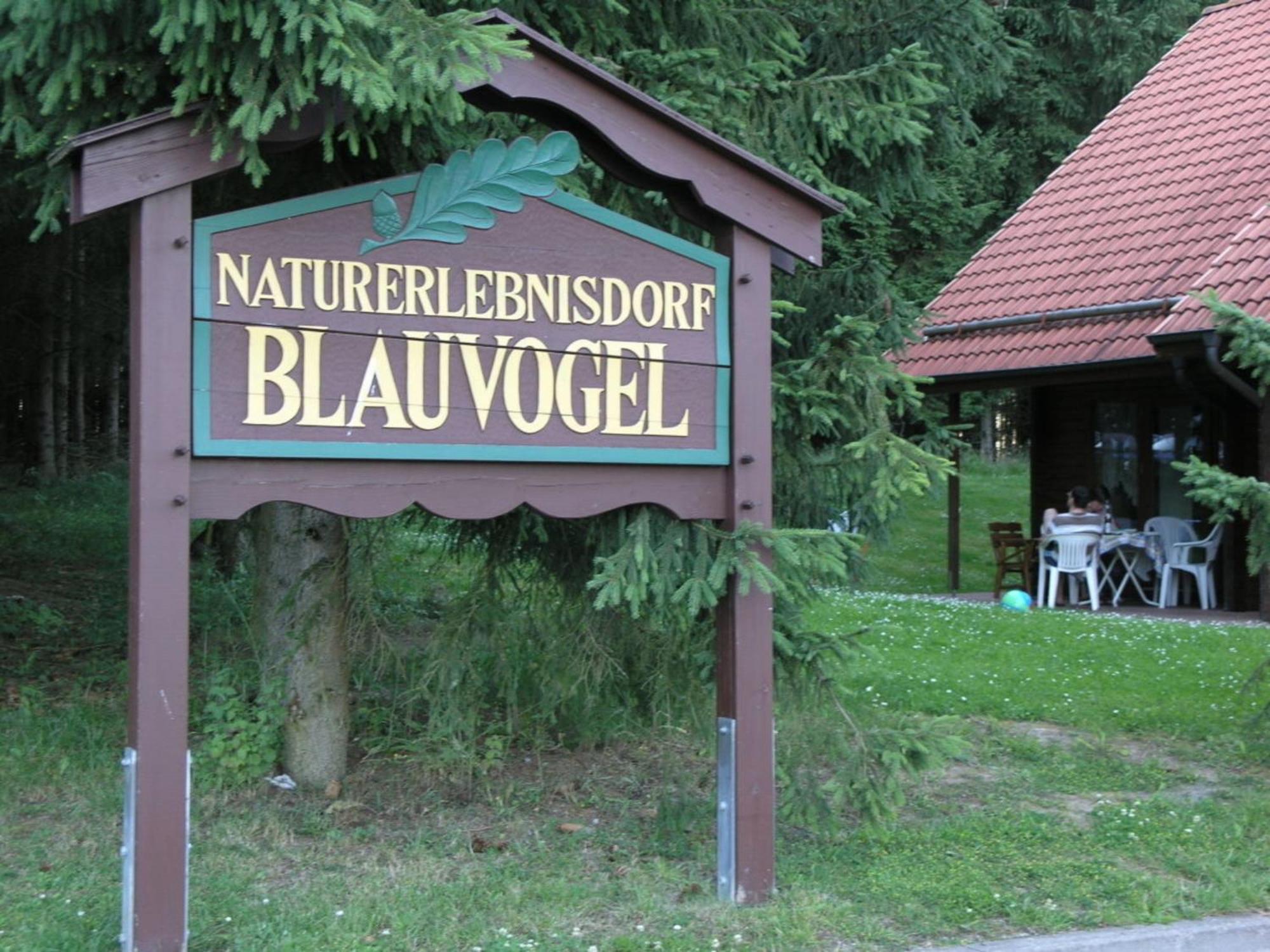 Ferienhaus Nr 32, Typ A, Ferienanlage Blauvogel, Hasselfelde, Harz Eksteriør bilde